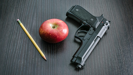 Teacher accidentally fires gun at school