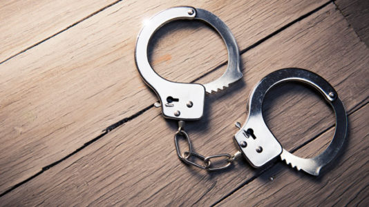 Deportee ditches ICE agents at New York airport, slips away in cab