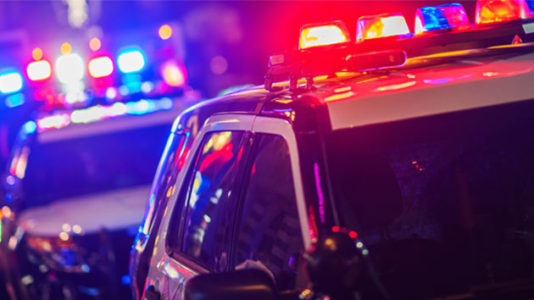 Austin police chief calls bomber ‘domestic terrorist’