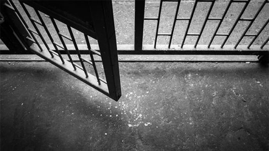 Accused mass murderer Nikolas Cruz and arrested brother ‘starting’ fan club from jail to attract girls, prosecutor says