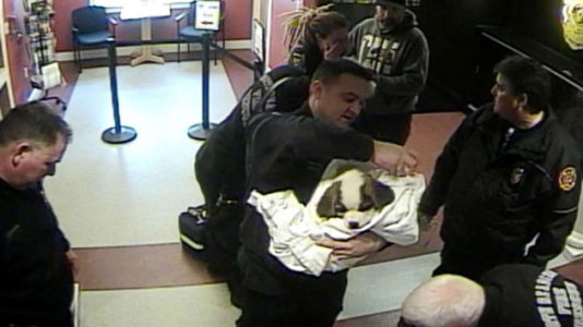 Police and firefighters save choking puppy in Massachusetts