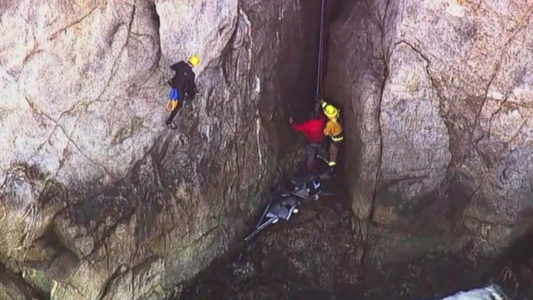 Man survives 130-foot minivan plunge into ocean