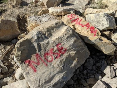 Palisade State Park vandalized with spray paint
