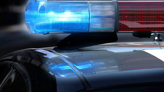 Mother who intentionally drove family off cliff was drunk, police say