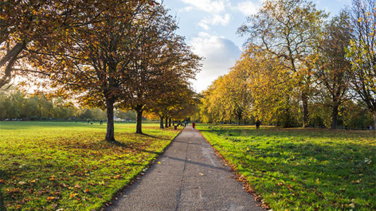 Woman playing ‘Pokemon Go’ finds missing man with dementia in park