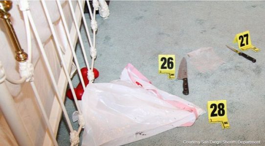 Jury awards Rebecca Zahau family $5M in woman’s mysterious Coronado mansion death