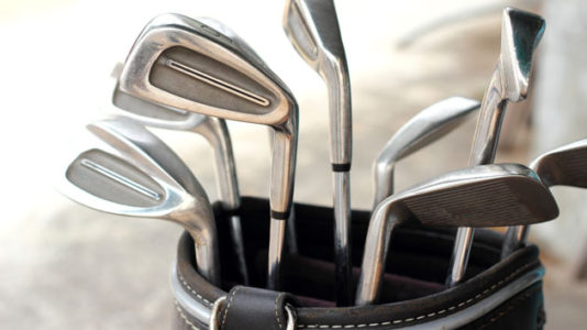 High school golfer attacked by goose