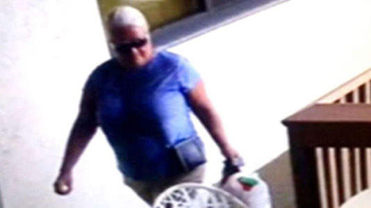 Relative of victim killed by woman on alleged crime spree ‘afraid’ she’ll kill again