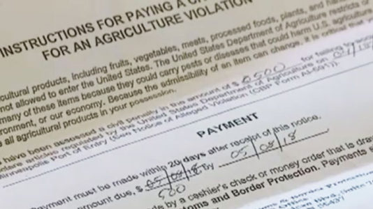 Woman says Customs fined her $500 for bringing apple given to her by Delta into US