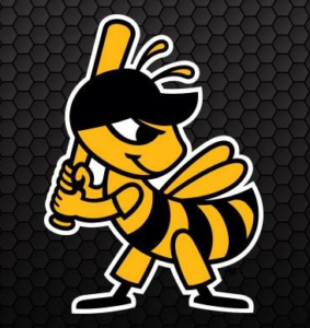 Bees Down River Cats Sunday; Achieve Series Win
