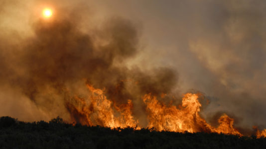 Massive tinder fire in Arizona spreads to more than 8,000 acres, triggers evacuations