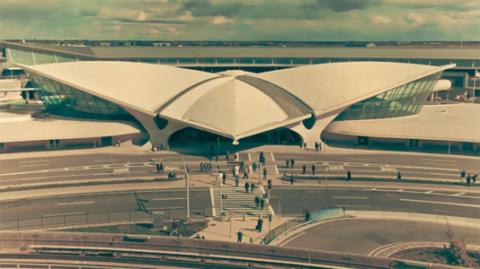 Cat loose for a week in JFK Airport finally caught, reunited with owner