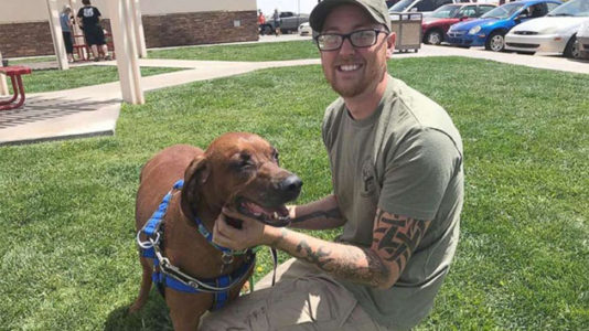 Volunteers help dog make 2,000-mile trek back home