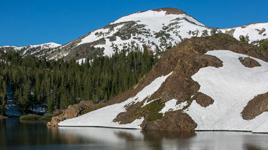 Hiker falls to his death from Yosemite National Park’s famed Half Dome