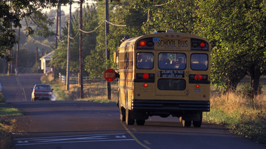 School bus driver in deadly New Jersey crash had 14 license suspensions: DMV spokesperson