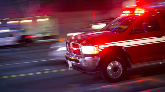 Two journalists killed when tree fell on car in North Carolina: Reports