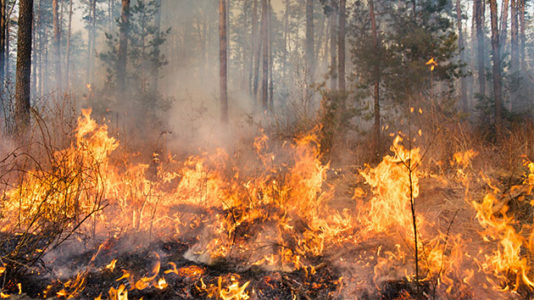 More than 50 wildfires rage amid persistently hot, dry conditions