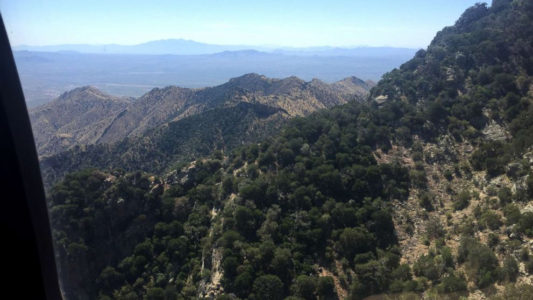 Border chief is confident separated families can be reunited