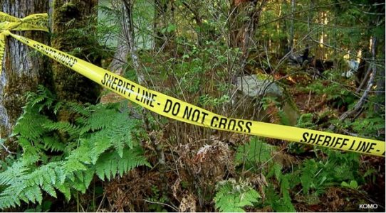 Family of 5, including 3 children, killed in cabin explosion: Washington state police