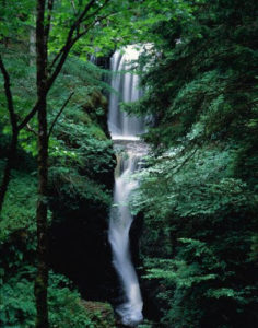 Waterfall in Forest --- Image by © Ronald Weir/zefa/Corbis
