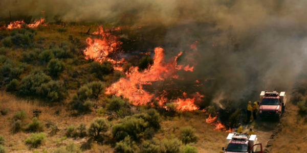 3 homes destroyed, more threatened by Utah wildfires