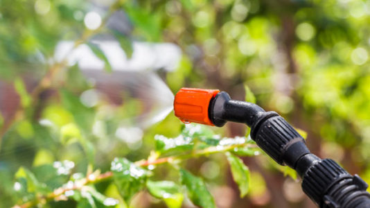 Trial begins for man alleging Roundup weed killer caused his cancer