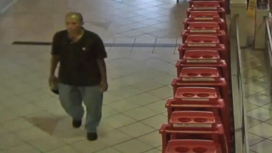 ‘Possible serial killer’ nabbed in Texas slayings charged with capital murder