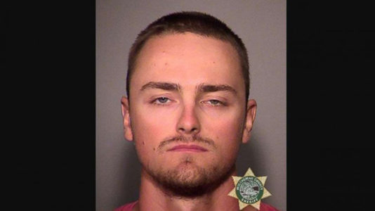 Man with $45,000 in ecstasy crashes into police cruiser while fleeing