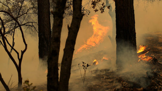 West continues to deal with scorching summer heat, low humidity