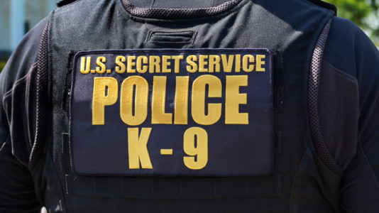 Secret Service rolls out new ways to identify and stop student attackers