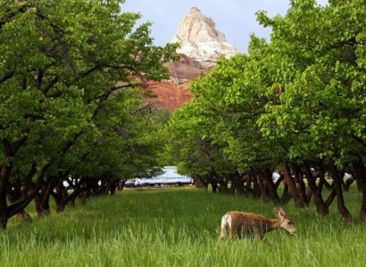 Plans for gravel pit near Capitol Reef National Park nixed