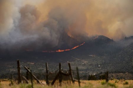 Dollar Ridge Fire: July 11