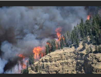 Dollar Ridge Fire: Day 4