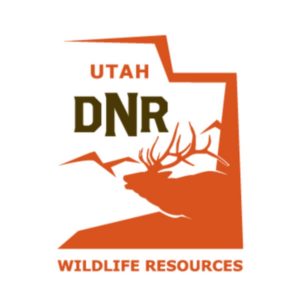 Utah DWR Asks For Help After Deer, Elk Killed In Southern Utah
