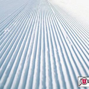 Fredrik Landstedt Hired As University of Utah Director of Skiing