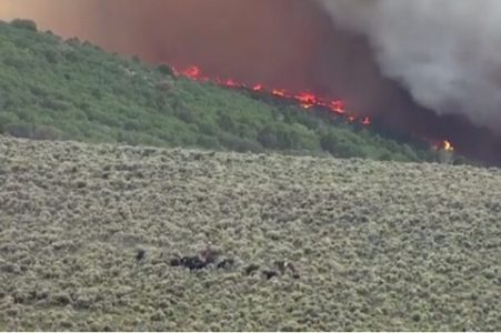 Willow Patch Fire Billows Smoke Near Richfield