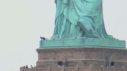 Protester who climbed Statue of Liberty charged in federal court