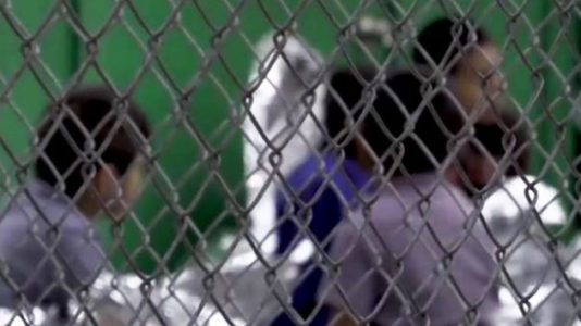 Grannies across the U.S. unite to caravan to the southern border to protest