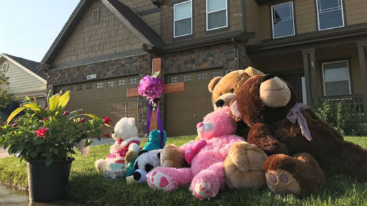 A Colorado man’s alleged killing of pregnant wife, 2 young daughters raises question of why