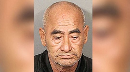 Driver busted with 800 pounds of allegedly stolen lemons