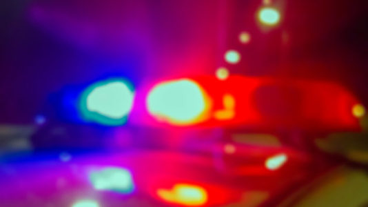 Los Angeles agrees to pay $1.9 million to family of homeless man killed by police