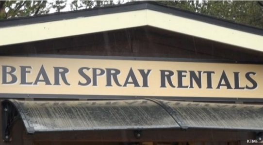 Parents used bear spray to fend off grizzly bear that attacked their 10-year-old son at Yellowstone National Park