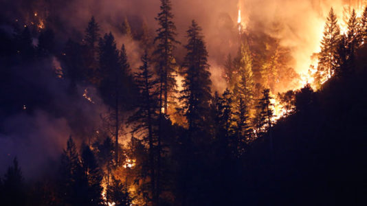 Northern California wildfire kills 7th victim, burns over 150,000 acres