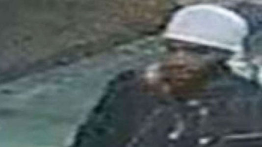 Police seek man in surveillance footage who was with murdered Playboy model