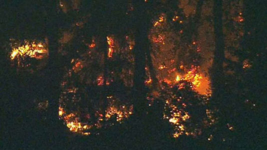 Airline worker who stole plane told air traffic controllers: ‘I don’t want to hurt no one’