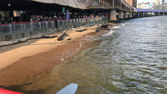 Baby boy dies after being found in river near Brooklyn Bridge