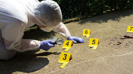 Bandmates remember friend killed in series of ‘cold-blooded’ Nashville shootings