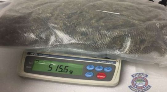 Police searching for person who donated bag with almost 5 pounds of marijuana to thrift shop