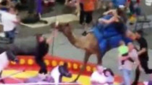 Several injured after camel gets loose at circus