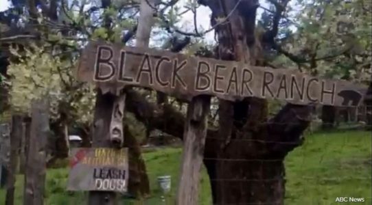 Tennessee teen taken by high school teacher says he threatened her to make her go on the run with him